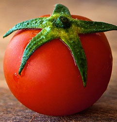 tomato-full of potassium