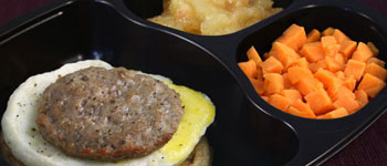 renal meals delivered